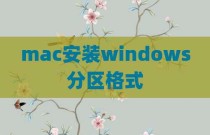mac安装windows分区格式