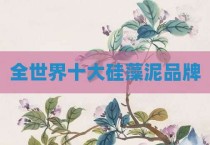 全世界十大硅藻泥品牌