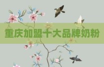 重庆加盟十大品牌奶粉