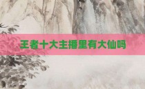 王者十大主播里有大仙吗