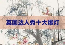 英国达人秀十大爆灯