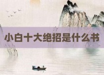 小白十大绝招是什么书