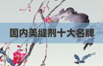 国内美缝剂十大名牌