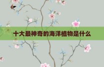 十大最神奇的海洋植物是什么