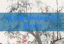 怎么用windows打开ext3