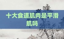 十大食道肌肉是平滑肌吗