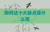 斯柯达十大缺点是什么呢