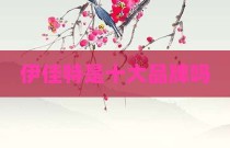 伊佳特是十大品牌吗