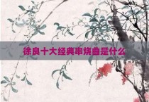 徐良十大经典串烧曲是什么