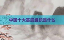 中国十大基层组织是什么