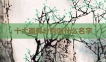 十大面具分别叫什么名字