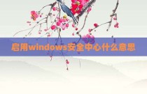 启用windows安全中心什么意思