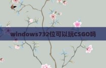 windows732位可以玩CSGO吗