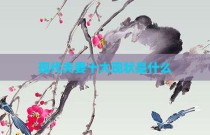 现代夫妻十大现状是什么