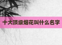 十大顶级烟花叫什么名字