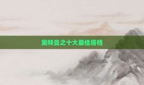 奥特曼之十大最佳搭档