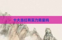 十大当红有实力男星吗