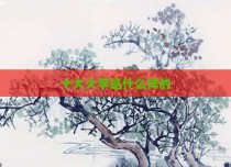 十大大学是什么样的