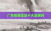 广东恒道壹品十大品牌吗
