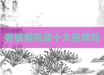 老板烟机是十大品牌吗