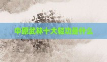 中原武林十大轻功是什么