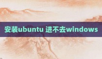 安装ubuntu 进不去windows