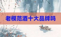 老模范酒十大品牌吗