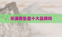 乐浦养生壶十大品牌吗