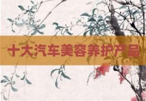 十大汽车美容养护产品