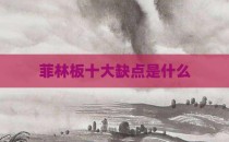 菲林板十大缺点是什么