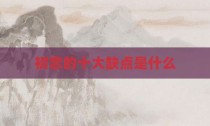 初恋的十大缺点是什么