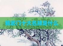 精武门十大名牌是什么