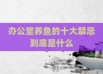 办公室养鱼的十大禁忌到底是什么