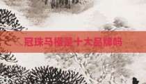 冠珠马桶是十大品牌吗