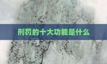 刑罚的十大功能是什么
