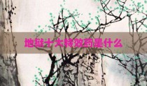 地狱十大特效药是什么