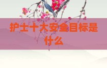 护士十大安全目标是什么