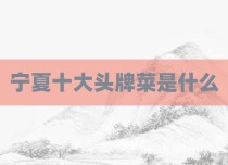 宁夏十大头牌菜是什么