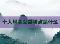 十大基金公司特点是什么