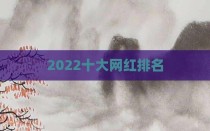 2022十大网红排名