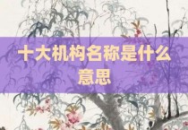 十大机构名称是什么意思