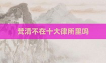 梵清不在十大律所里吗