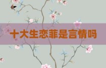 十大生恋菲是言情吗