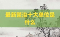 最新整治十大单位是什么