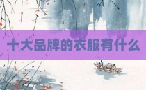 十大品牌的衣服有什么