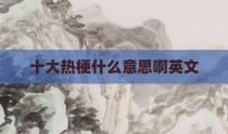十大热梗什么意思啊英文
