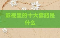 影视里的十大套路是什么