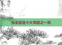 张志豪是十大悍匪之一吗