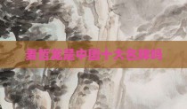 麦哲龙是中国十大名牌吗