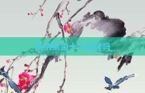 派纳索是十大品牌吗